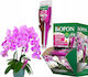 Biopon Duo Elixir Orchideen Nährt Regeneriert 35ml Disp 36 Stücke