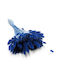 Dried Lagurus Bunny Tail Grass Dark Blue