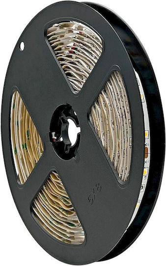 Geyer Ταινία LED 12V Φυσικό Λευκό Φως 5m