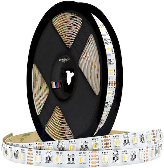 Geyer Smart Ταινία LED Wi-Fi 12V RGBW Φως 2m