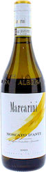 Marcarini Weißer Trockenwein 750ml Marcarini Weißer Trockenwein 750ml