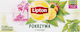 Lipton Brennnessel 30g