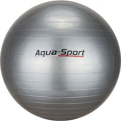 Aqua-Sport Pilates Ball In Grey Color