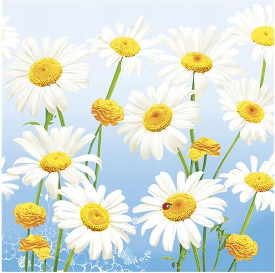 Paper Napkins Spring Flowers Meadow Daisies Birthday 33x33cm 20pcs