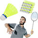 Φτερά Badminton 24τμχ