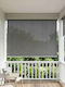 vidaXL Seitliches Sonnenschirm-Rolle für Terrasse mit LEDs Grau 1,6x2,3m
