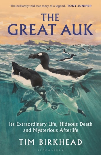 Great Auk - Bloomsbury Publishing Plc - Paperback / Softback