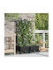 vidaXL Set 2 Planter Box-uri Din Plastic Negru