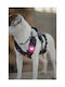 Φωτάκι Orbiloc Dog Dual Pink