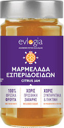Handmade Citrus Fruits Jam No Sugar Added 280gr