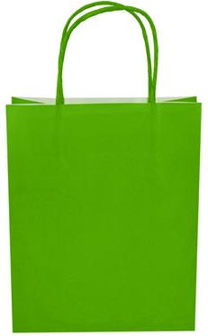 Due esse Green Paper Gift Bag 18x14x7cm