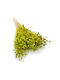 Dried Flaxseed Celadon