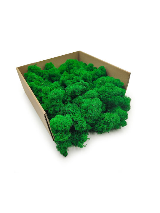 Reindeer Moss Finnish Cleaned Green 500g Net