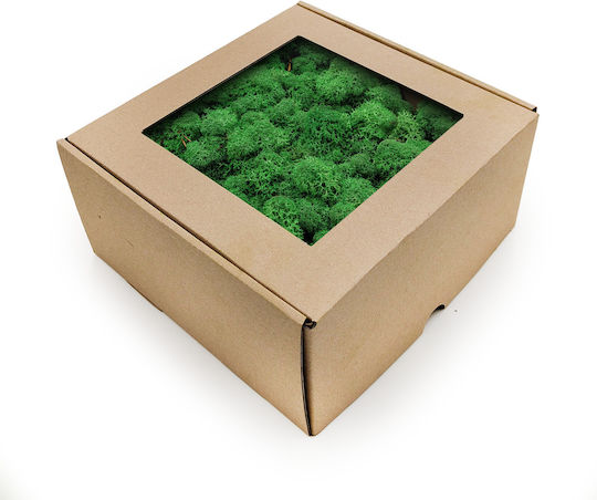 Reindeer Moss Lichen Norway Shade Grass 500g Netto