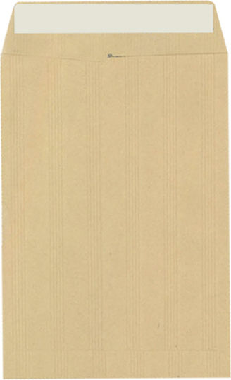KOTSONIS Set Kraft Envelope Type Bag 250 Pieces 31x14cm Beige