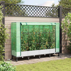 vidaXL 3423142 Greenhouse Cover 1.6x0.4x1.29m