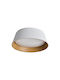 Ceiling Light White with Integrated LED