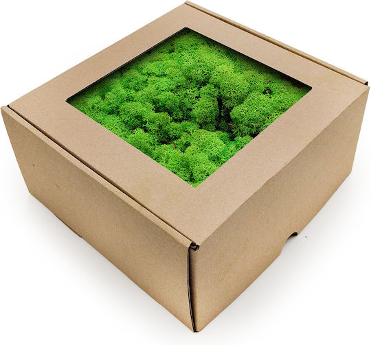 Reindeer Moss Lichen Norway Grass Green 500g Net Weight