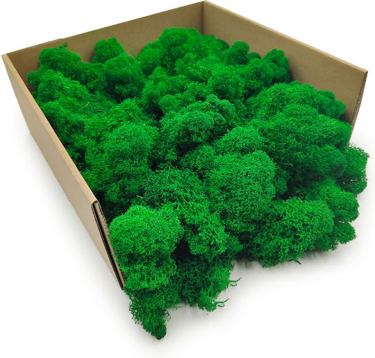 Mușchi de Ren Curat Finlandez Verde 50g Net