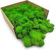 Reindeer Moss Finnish Cleaned Summer Green 250g Net