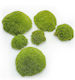 Moss Cushion Light Green Natural 0.062m² 40x15cm France