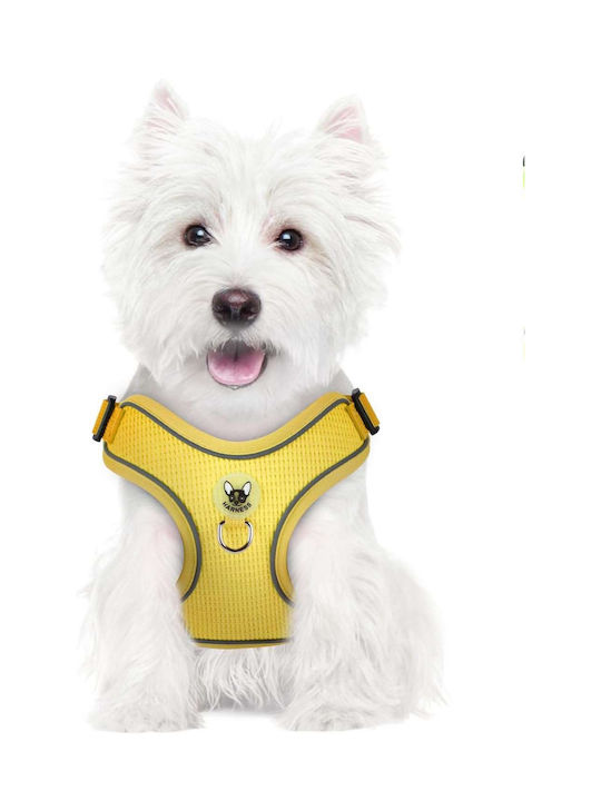 Hundegeschirr Leine Spaziergang Reflektierend Verstellbar Weiches M Gelb