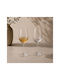 Set Glasses for White Wine Made of Glass Goblet 350ml 6 Pieces
