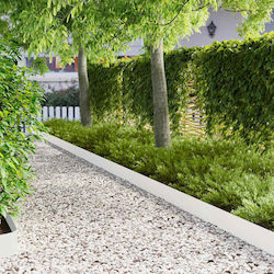 vidaXL Metal Garden Hedge in White Color 15cm x...