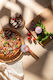 SteweHome Pizza Roller Made of Plastic