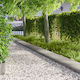 vidaXL Metallic Garden Hedge in Silver Colour 1...