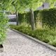 vidaXL Garden Hedge In Silver Colour 20cm x 1.0...