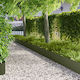 vidaXL Metallic Garden Hedge 1.03m x 30cm 10 Pi...