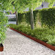 vidaXL Garden Hedge in Brown Colour 20cm x 1.03...