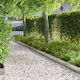 vidaXL Garden Hedge In Silver Colour 20cm x 1.0...