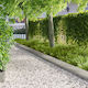 vidaXL Metallische Gartenhecke in Silber Farbe ...