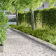 vidaXL Metal Garden Hedge in Silver Color 1m x ...