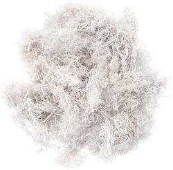 Cerb Decorativ Mușchi Natural Alb 30g