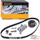 Timing Kit Gürtel + Rolle Contitech Ct 919 K4