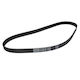 Contitech Ct 919 Timing Belt