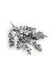 Stabilized Eucalyptus Cinerea Silver