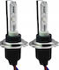 H7 35w 4300k Xenon Bulb