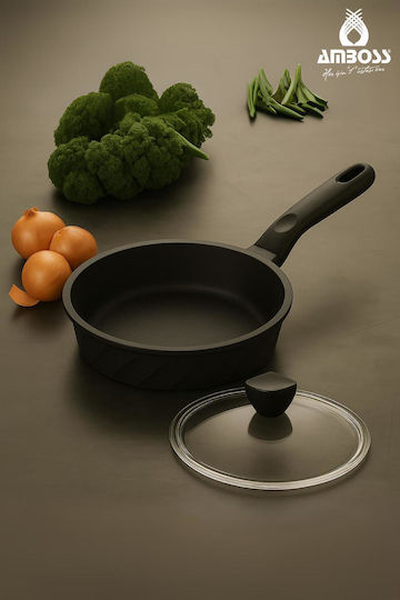SteweHome Тиган от Чугун с Капак с Незалепващо Покритие