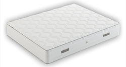 Nectar Cu Arcuri