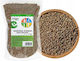 Hemp Seeds Grain 1kg Migogroup