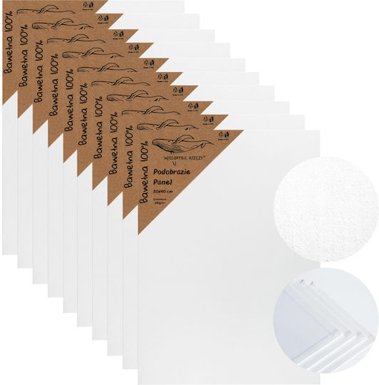Painting Canvas 30x40 White Stretched Canvas Painting Panel 10 Pcs