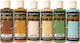 Allegro Acrylfarben Set 6 Stück 59ml Symphony