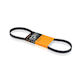 Contitech Ct 833 Balance Shaft Belt