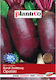 Plantico Opole Beetroot