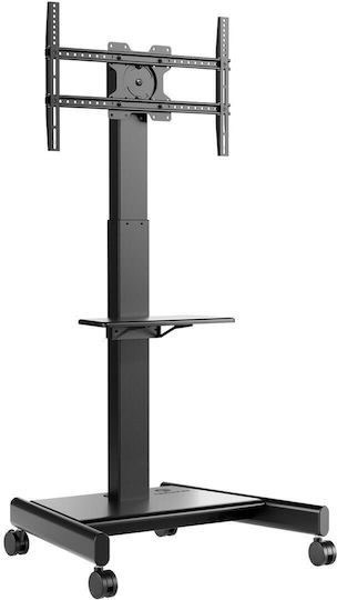 Onkron TV-Halterung Boden bis 75" und 70kg Schwarz