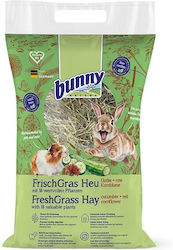 Bunny Nature Gras Für Hase / Meerschweinchen / ...